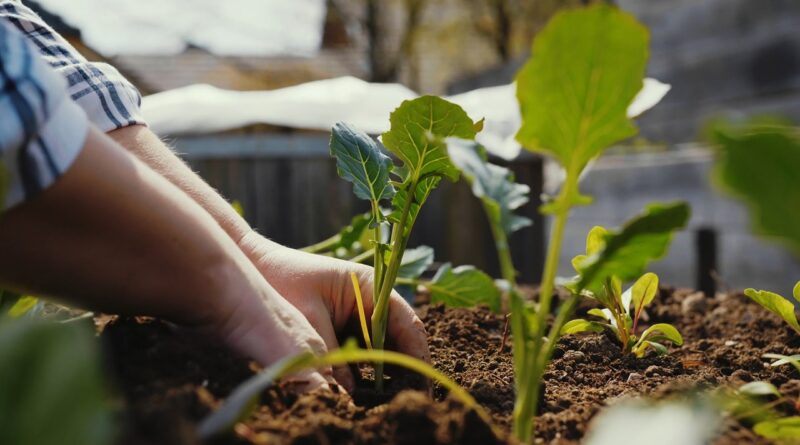 Pravo vreme za prve prolećne radove